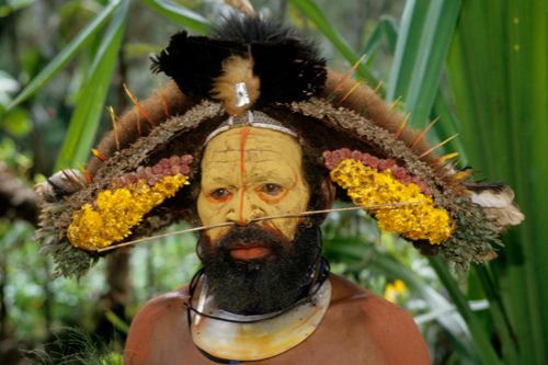 elder huli man, papua new guinea